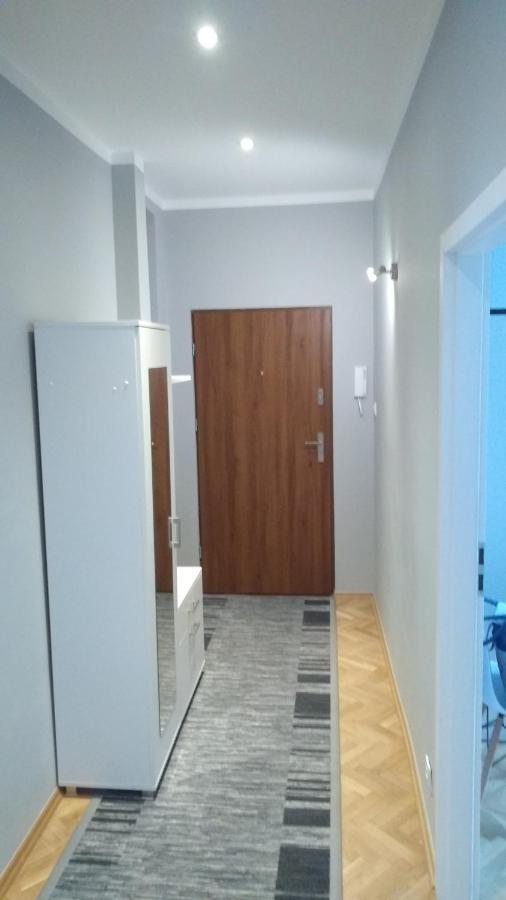 Greyt Daire Stary Toruń Dış mekan fotoğraf